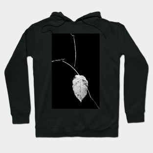 one leaf left Hoodie